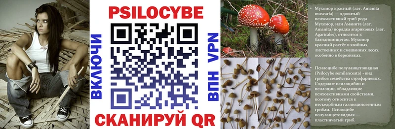 где продают наркотики  ОМГ ОМГ ссылки  Галлюциногенные грибы GOLDEN TEACHER  Константиновск 